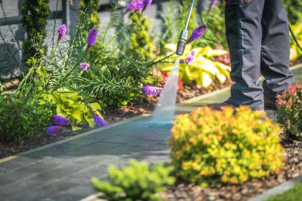 Best Parking Lot Cleaning in Lenoir, NC